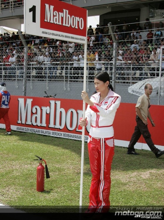 Paddock Girls - Sepang