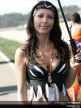 Paddock Girls - Comunitat Valenciana