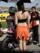 Paddock Girls - Comunitat Valenciana