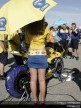 Paddock Girls - Comunitat Valenciana