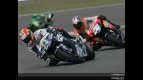 melandri 