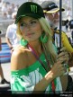 Paddock Girls - Laguna Seca