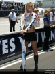 Paddock Girls - Laguna Seca