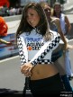 Paddock Girls - Laguna Seca