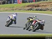 250cc - Circuit Action Shots - Australian Grand Prix