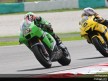 MotoGP - Circuit Action Shots - Malaysian Grand Prix