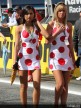 Paddock Girls - Estoril 2008