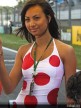Paddock Girls - Estoril 2008