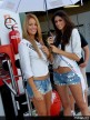 Paddock Girls - Misano 2008 - 3