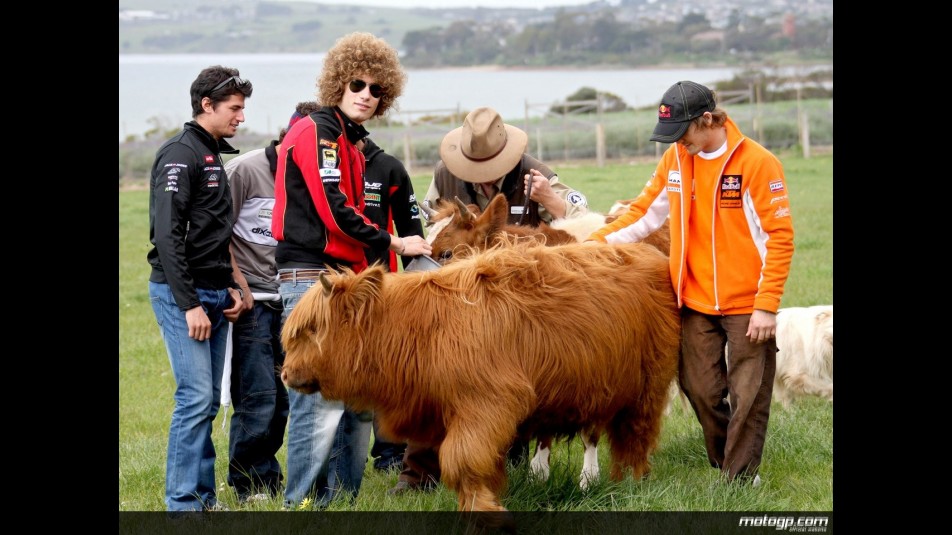 World Championship at Churchill Island farm