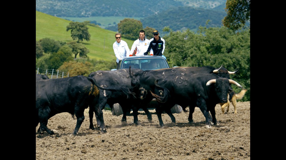 Sete Gibernau, Alex de Angelis and Colin Edwards in Andalucía