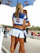 Paddock girls at the Red Bull U.S. Grand Prix