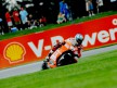 Nicky Hayden in action in Indianapolis