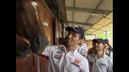 MotoGP fever in San Marino, San Patrignano and Tavullia