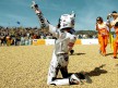 Jorge Lorenzo celebrates GP win at Estoril