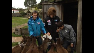 motogp at maru wildlife park