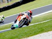Marco Simoncelli in action at Phillip Island