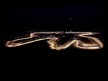 Aerial view of LosailInternacional Circuit