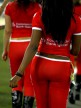 Paddock Girl at the Commercialbank Gran Prix of Qatar