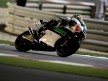 Gabor Talmacsi in action in Qatar