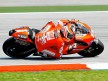 Nicky Hayden in action at Sepang