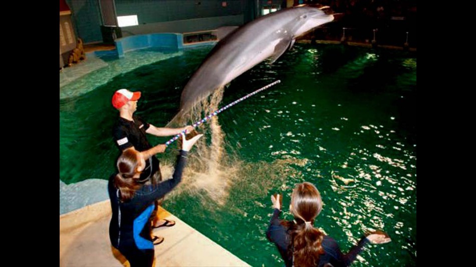 Kenny Noyes with a dolphin at Indianapolis Zoo