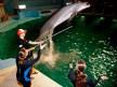 Kenny Noyes with a dolphin at Indianapolis Zoo