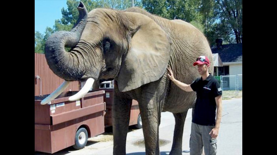 Kenny Noyes with an elephant at Indianapolis Zoo