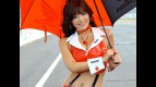 Paddock Girl at the Grand Prix of Japan