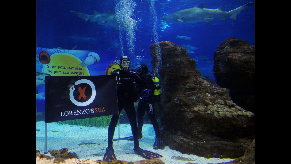 Lorenzo vs shark at Barcelona´s aquarium