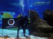 Lorenzo vs shark at Barcelona´s aquarium