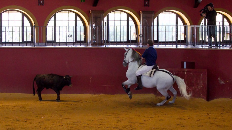 Fermin Bohorquez, Finca Fuente Rey, Jerez
