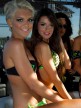 Paddock Girl, Monster Energy Grand Prix de France