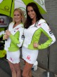 Paddock Girl, Iveco TT Assen