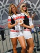 Paddock Girls, Red Bull U.S. Grand Prix