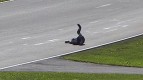 Brno 2011 - 125cc - Warm Up - Action - Luis Salom  - Crash