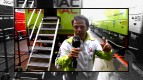 Team Profile: Loris Capirossi
