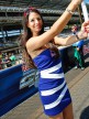 Paddock Girls, Red Bull Indianapolis Grand Prix