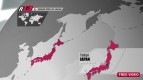 Motegi hosts round 15