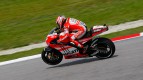 Nicky Hayden, Ducati Team, Sepang FP2