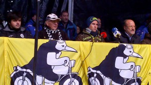 Terol pingÜino de oro 