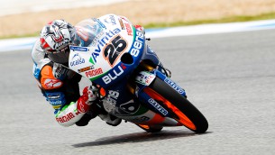 Viñales Le Mans