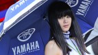 Paddock Girl, Grande Premio de Portugal