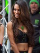 Paddock Girl, Monster Energy Grand Prix de France