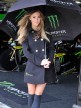 Paddock Girl, Hertz British Grand Prix