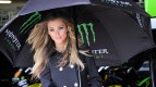 Paddock Girl, Hertz British Grand Prix