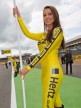 Paddock Girls, Hertz British Grand Prix