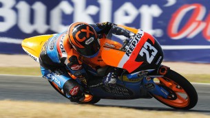 cev albacete preview qp