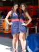 Paddock Girls, Red Bull Indianapolis Grand Prix