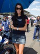 Paddock Girls, Red Bull Indianapolis Grand Prix